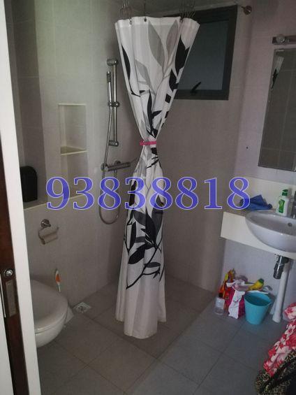 Blk 1D The Pinnacle@Duxton (Bukit Merah), HDB 4 Rooms #168467462
